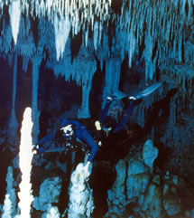 Temple of Doom Cenote, Yucatan